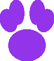 AmStaff.fast Logo